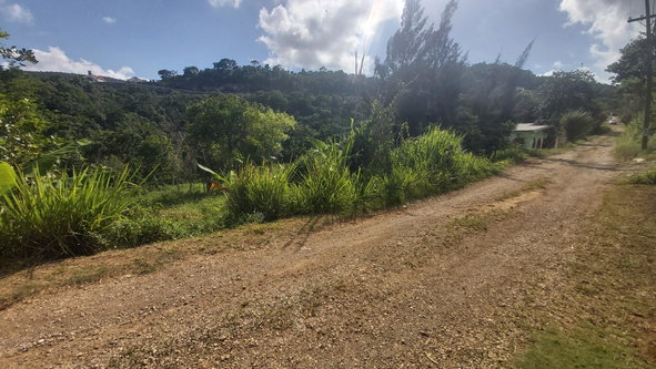 Third image of Thompson Piece in Walderston, Manchester, Jamaica - property is For Sale
