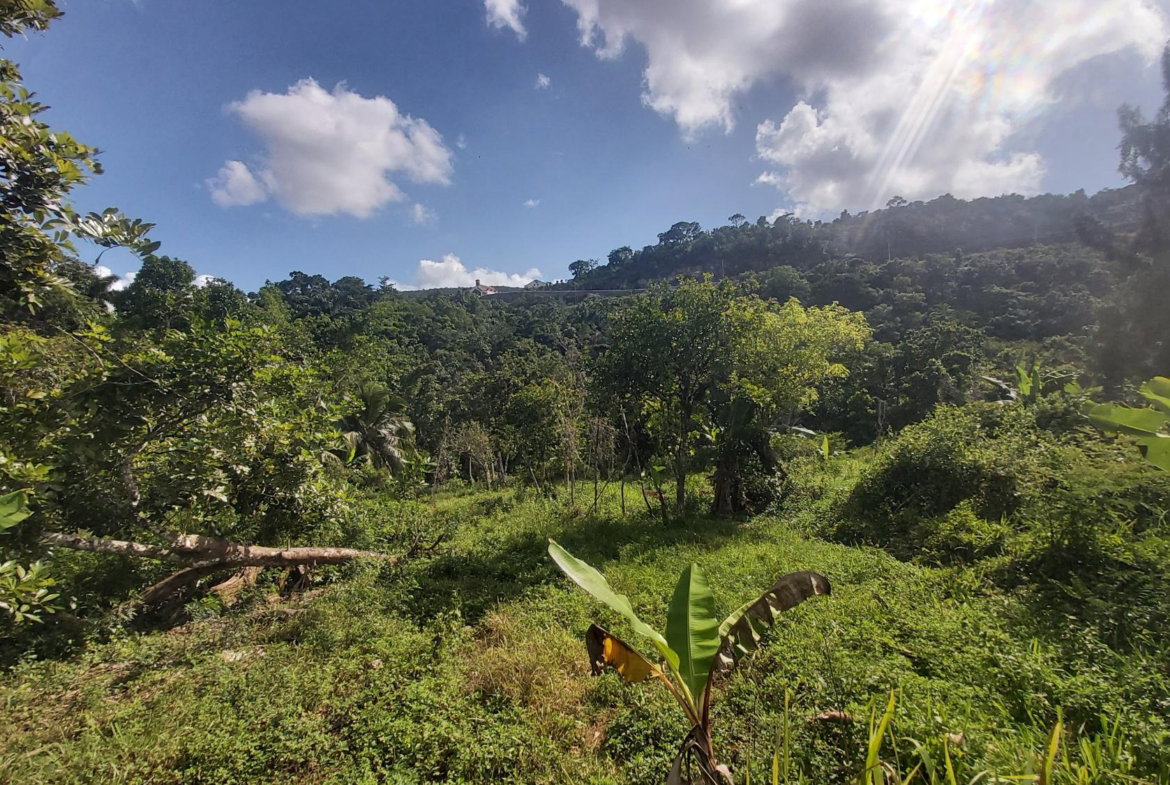 Fourth image of Thompson Piece in Walderston, Manchester, Jamaica - property is For Sale