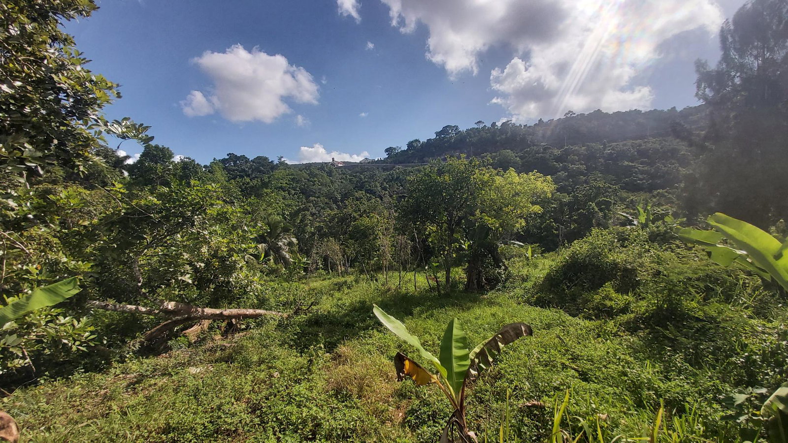 Fourth image of Thompson Piece in Walderston, Manchester, Jamaica - property is For Sale