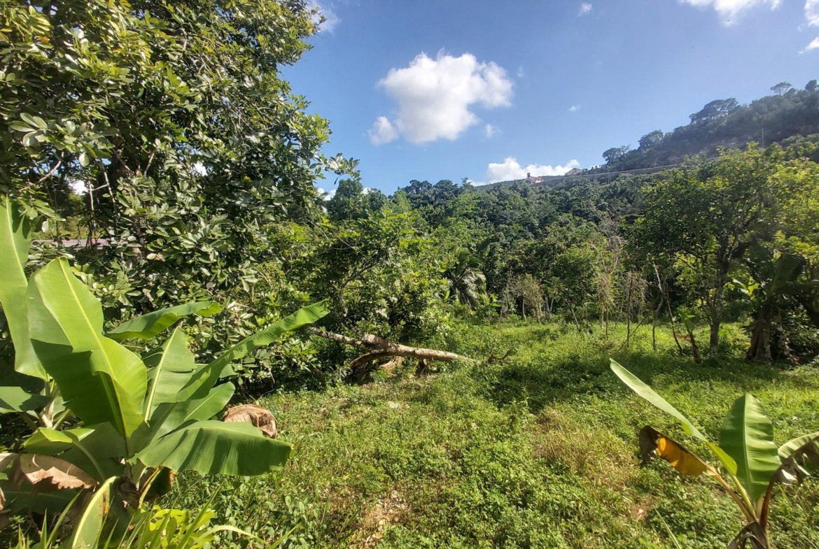 Fifth image of Thompson Piece in Walderston, Manchester, Jamaica - property is For Sale