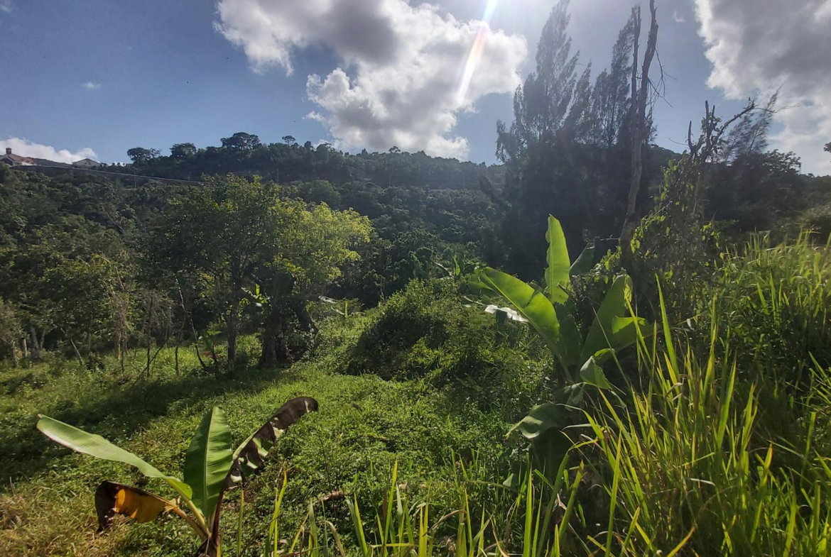 Sixth image of Thompson Piece in Walderston, Manchester, Jamaica - property is For Sale