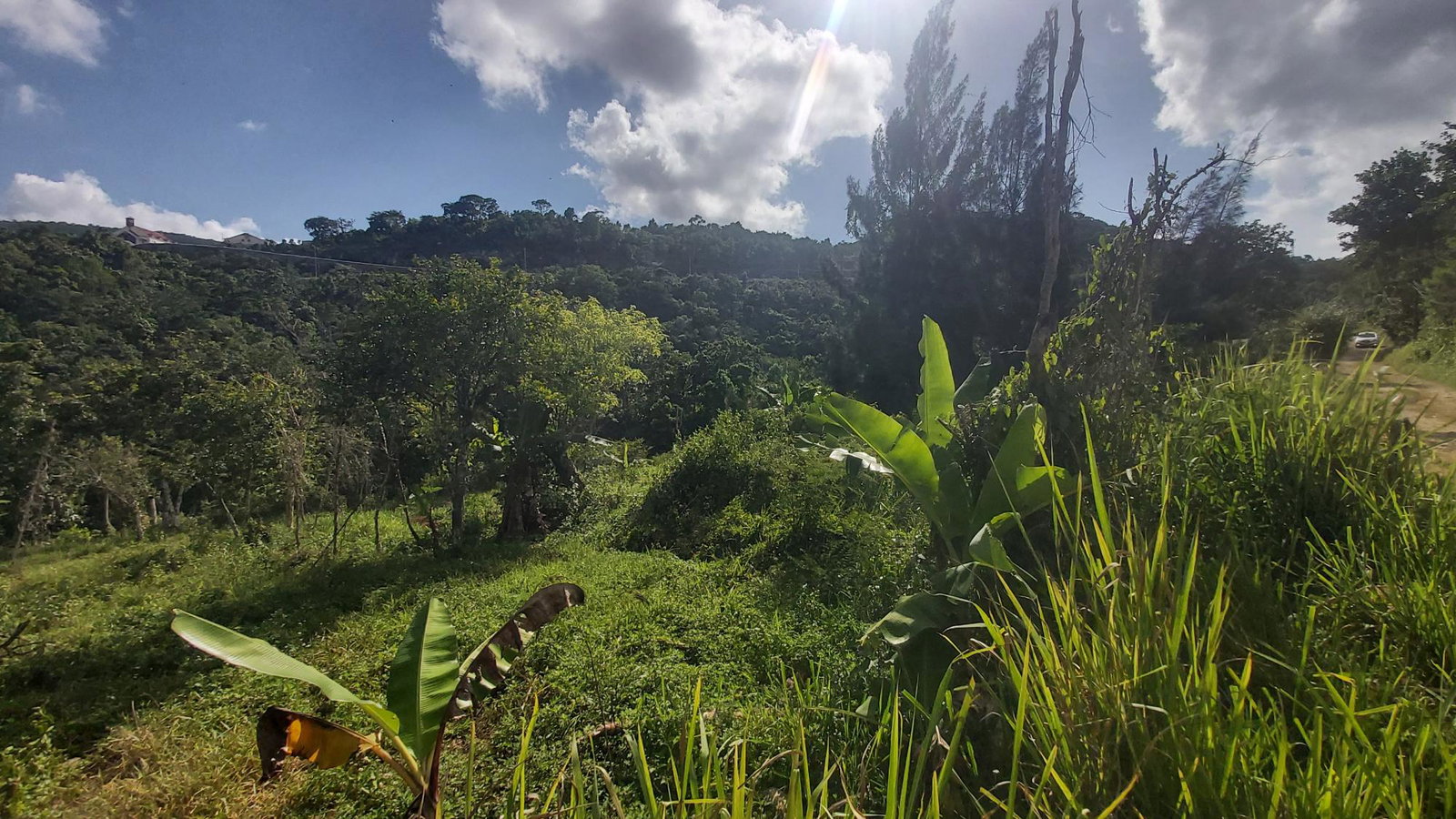 Sixth image of Thompson Piece in Walderston, Manchester, Jamaica - property is For Sale