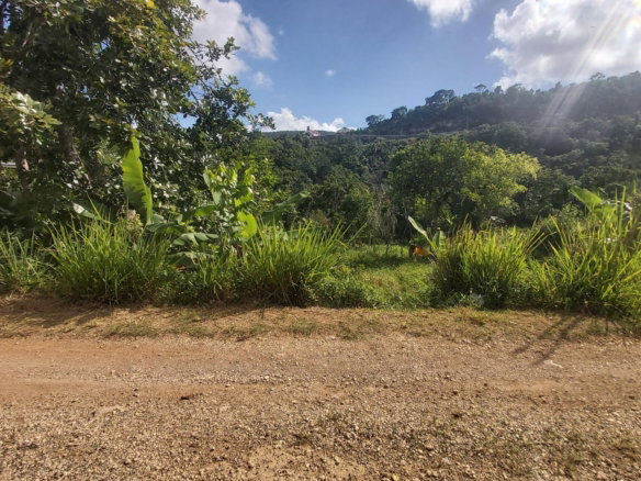 First image of Thompson Piece in Walderston, Manchester, Jamaica - property is For Sale