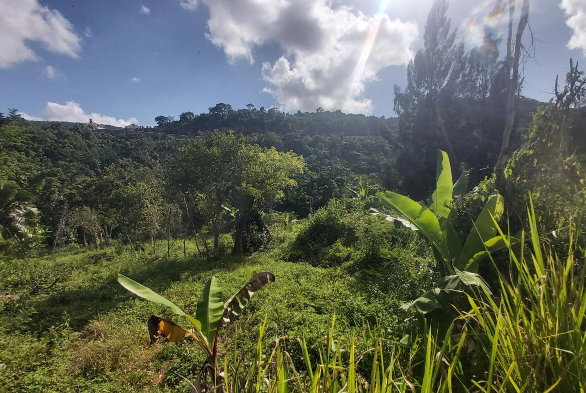 Seventh image of Thompson Piece in Walderston, Manchester, Jamaica - property is For Sale