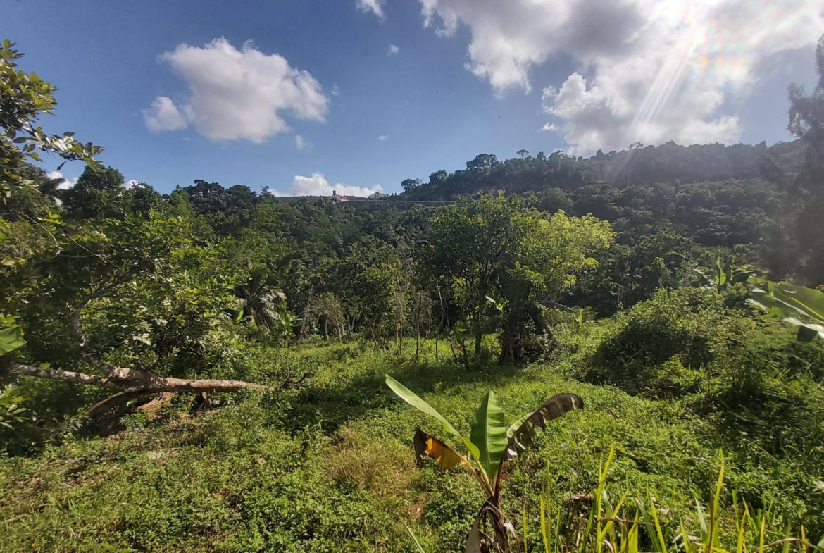 Eighth image of Thompson Piece in Walderston, Manchester, Jamaica - property is For Sale