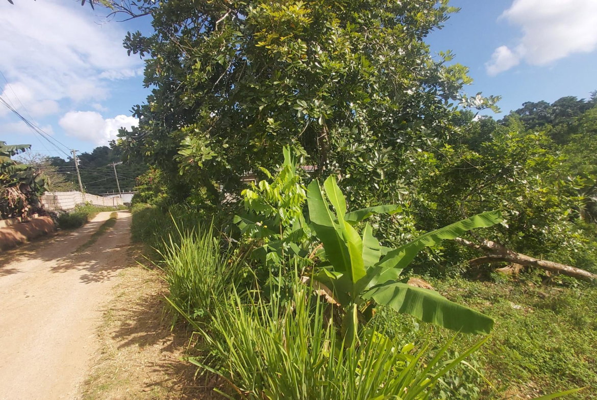 Ninth image of Thompson Piece in Walderston, Manchester, Jamaica - property is For Sale