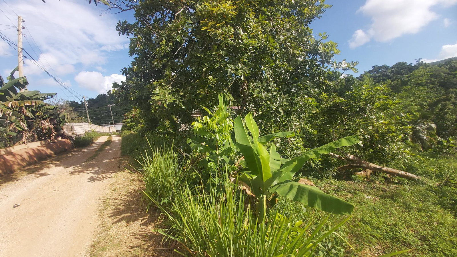 Ninth image of Thompson Piece in Walderston, Manchester, Jamaica - property is For Sale