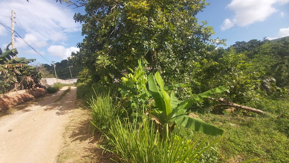 Ninth image of Thompson Piece in Walderston, Manchester, Jamaica - property is For Sale