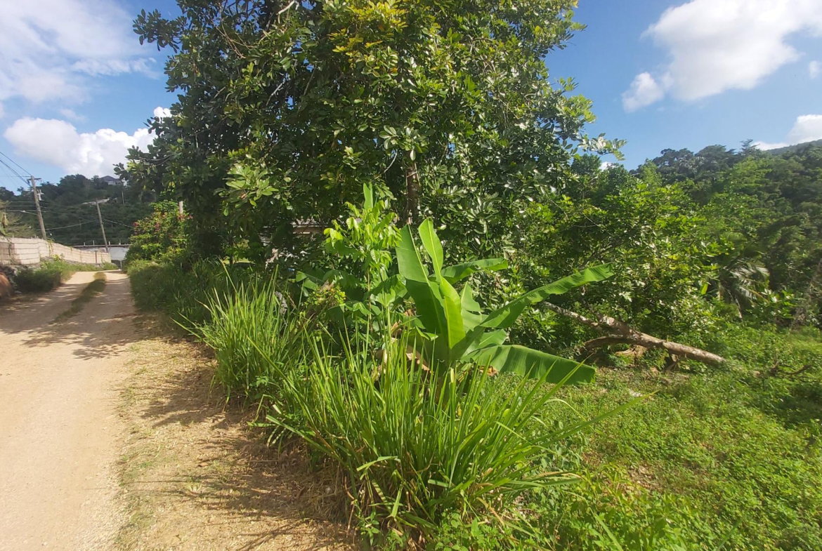 Tenth image of Thompson Piece in Walderston, Manchester, Jamaica - property is For Sale