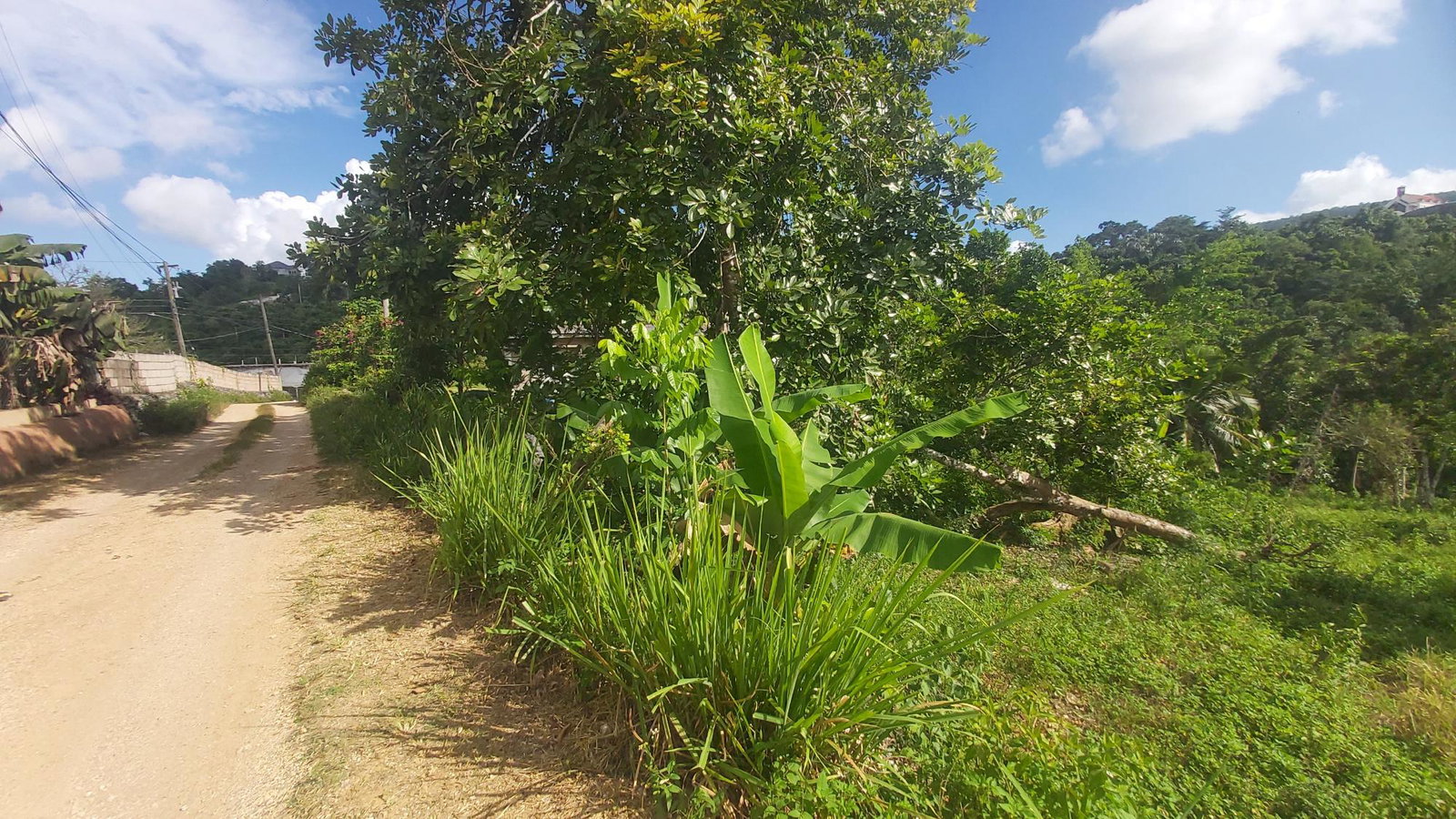 Tenth image of Thompson Piece in Walderston, Manchester, Jamaica - property is For Sale