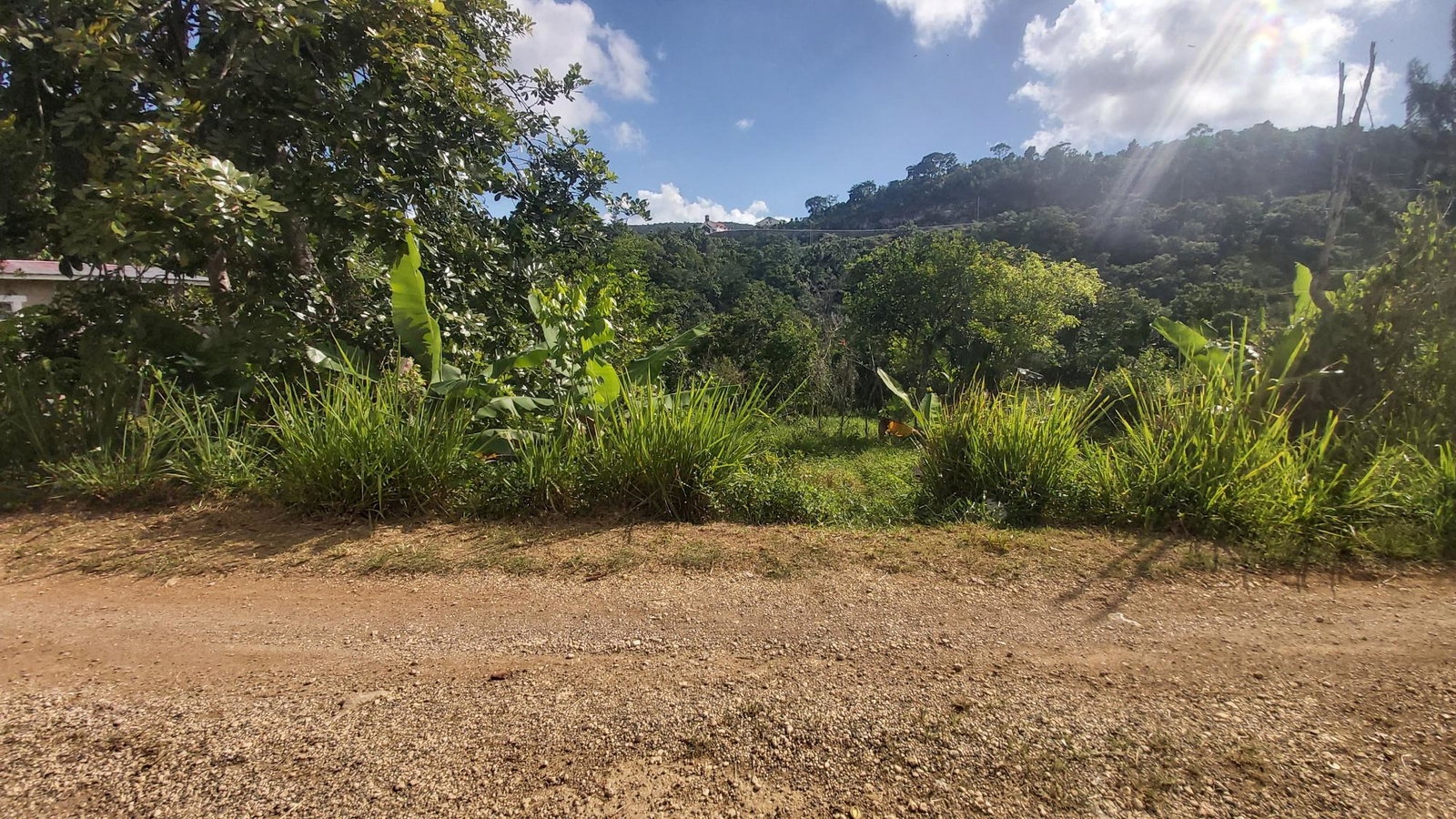 First image of Thompson Piece in Walderston, Manchester, Jamaica - property is For Sale