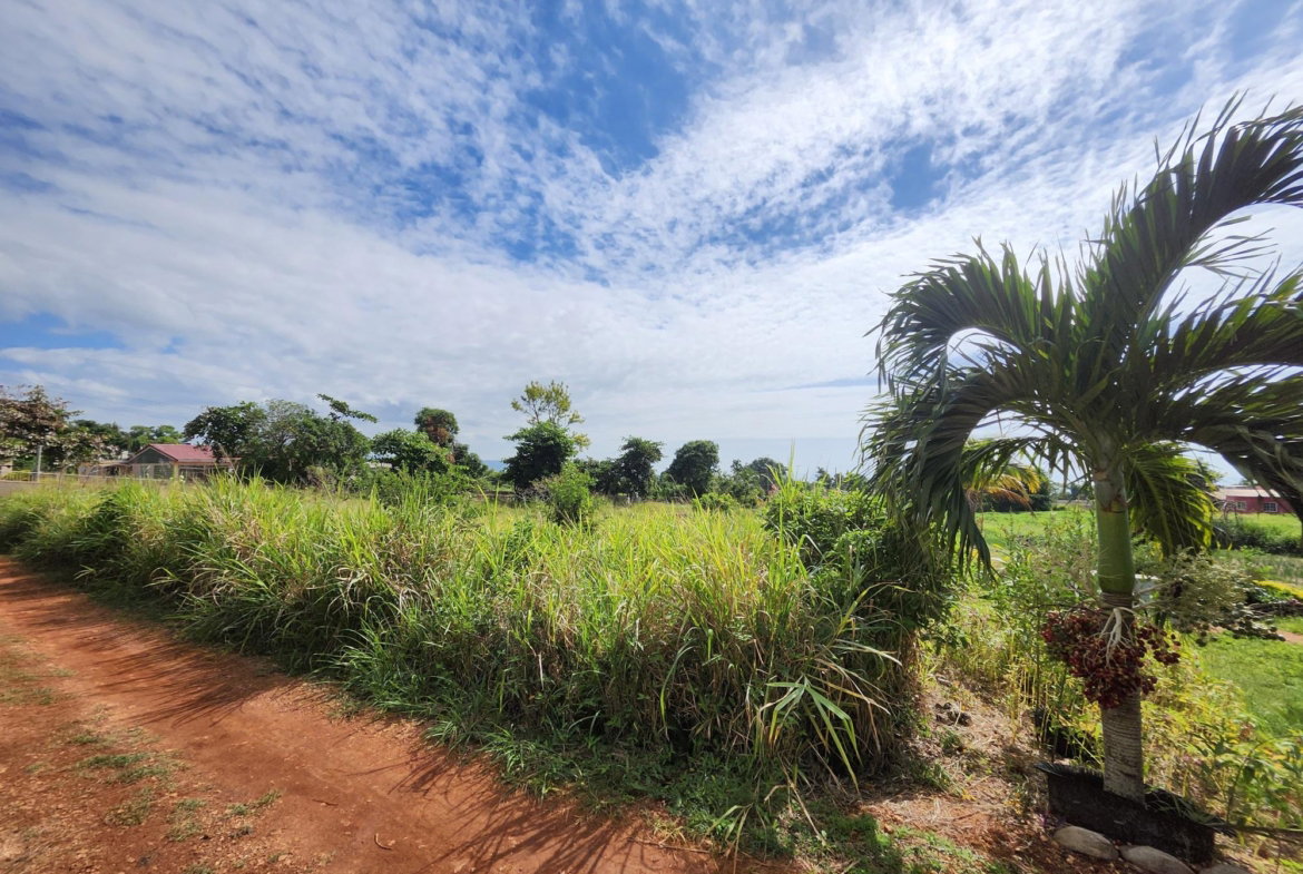 Second image of Top Hill in Top Hill, St. Elizabeth, Jamaica - property is For Sale