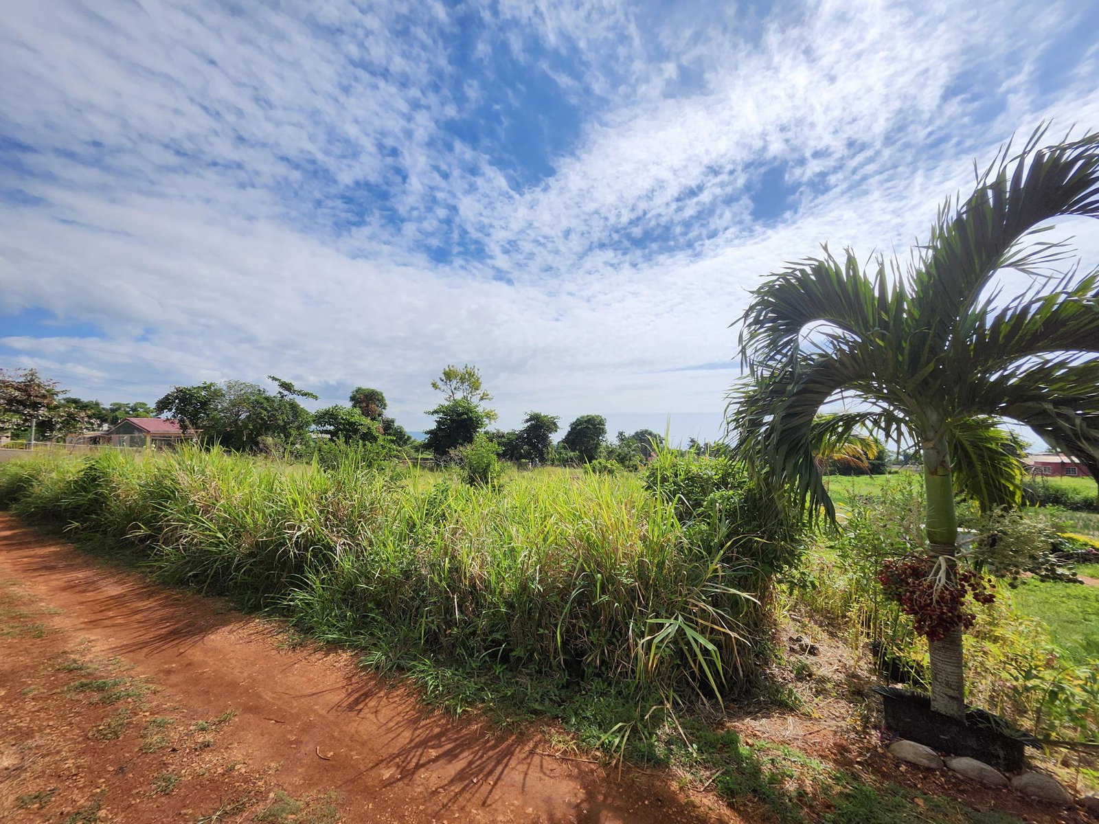 Second image of Top Hill in Top Hill, St. Elizabeth, Jamaica - property is For Sale