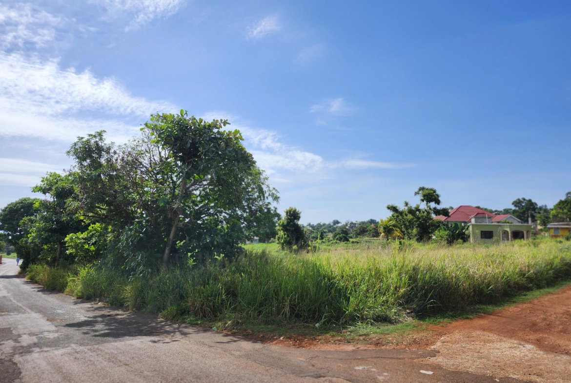 Third image of Top Hill in Top Hill, St. Elizabeth, Jamaica - property is For Sale