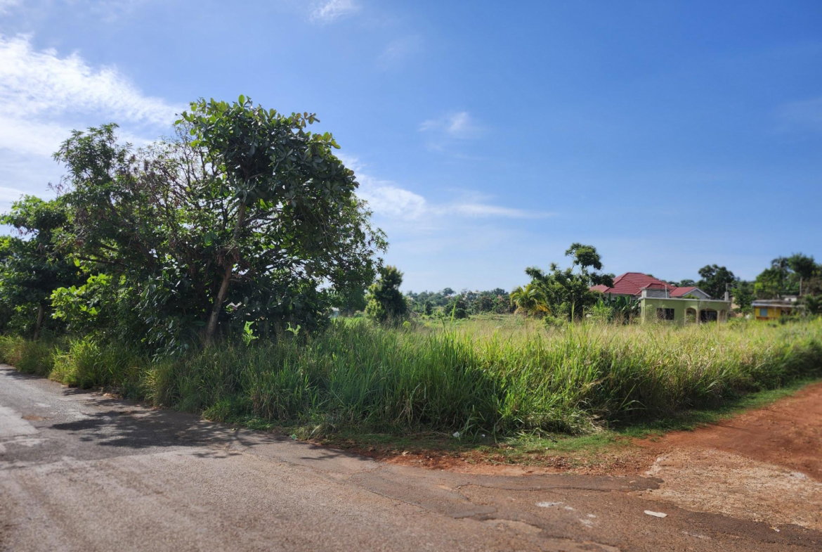 Fourth image of Top Hill in Top Hill, St. Elizabeth, Jamaica - property is For Sale