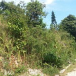First image of Ventura Heights, Cooper’s in Red Hills, St. Andrew, Jamaica - property is For Sale