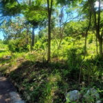 First image of Victoria Town in Victoria Town, Manchester, Jamaica - property is For Sale