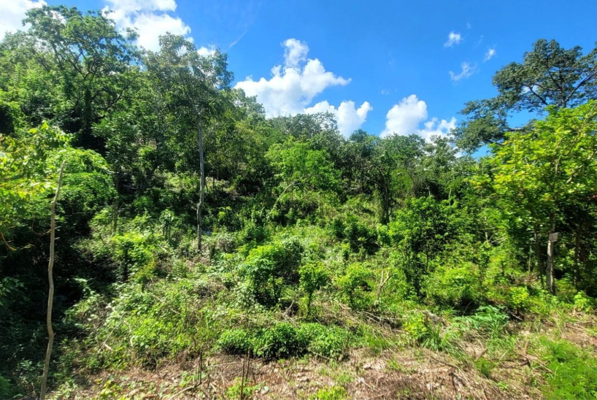 Third image of Victoria Town in Victoria Town, Manchester, Jamaica - property is For Sale