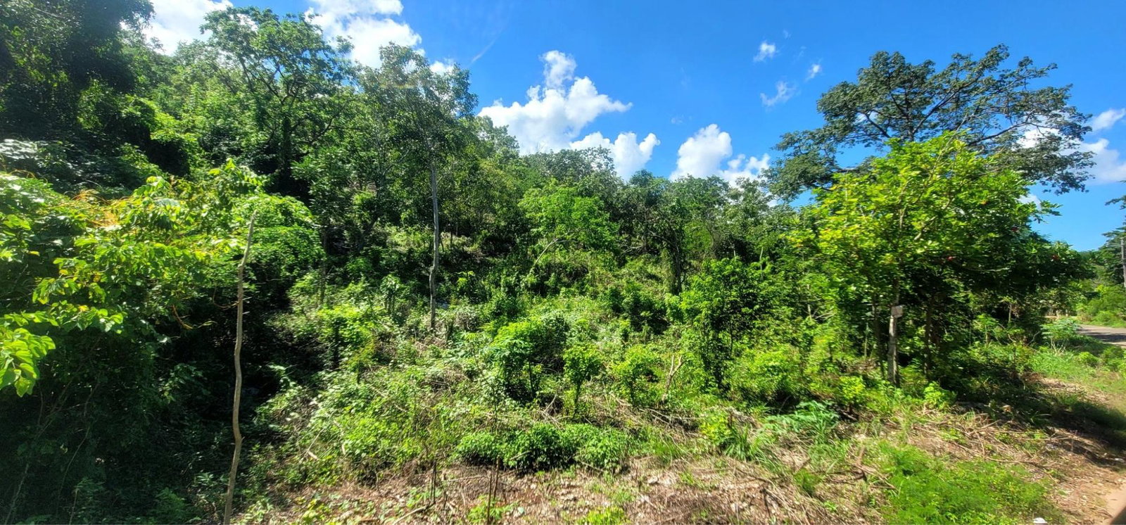 Third image of Victoria Town in Victoria Town, Manchester, Jamaica - property is For Sale