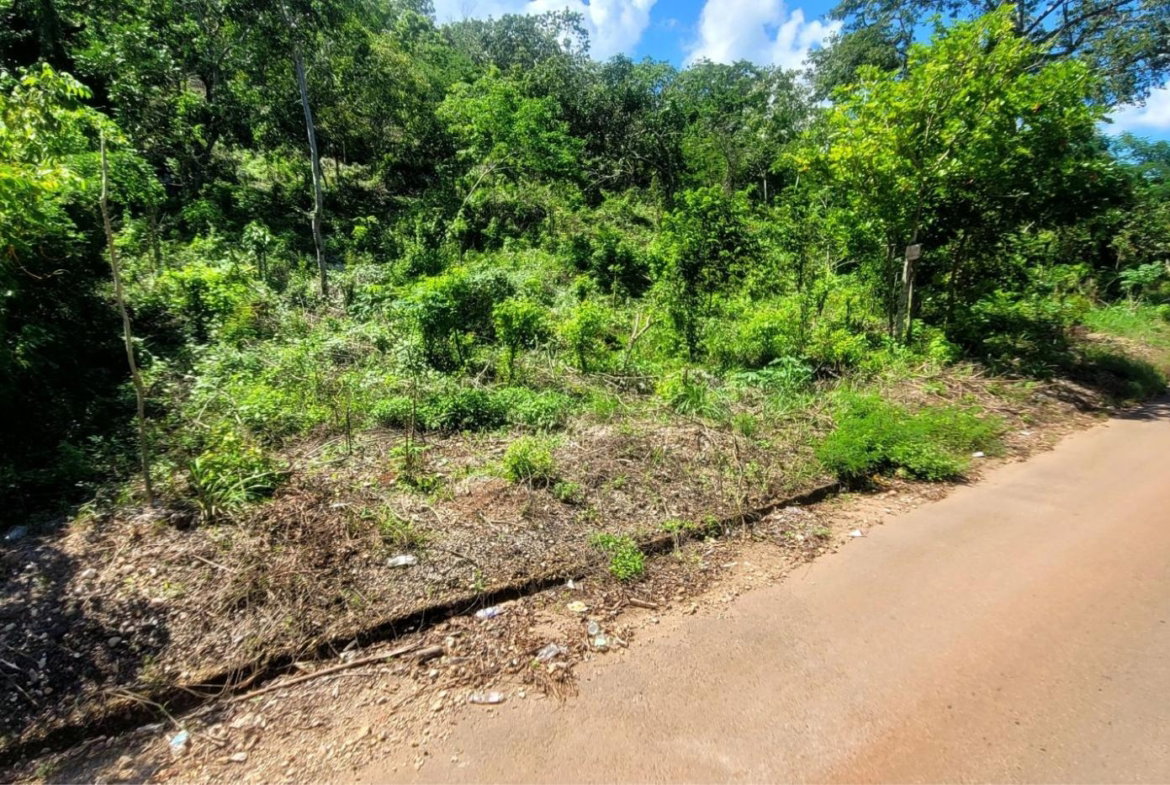 Fourth image of Victoria Town in Victoria Town, Manchester, Jamaica - property is For Sale