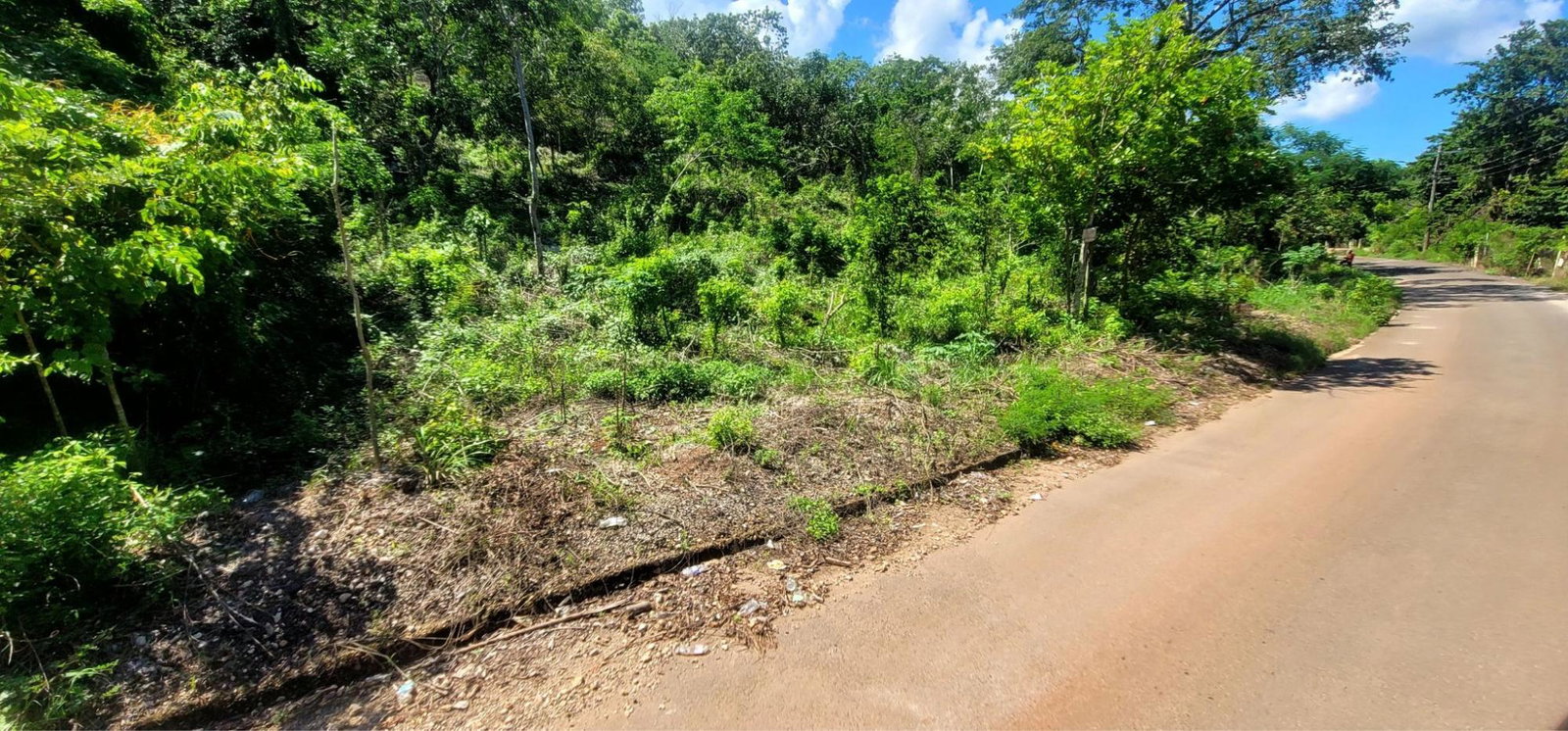 Fourth image of Victoria Town in Victoria Town, Manchester, Jamaica - property is For Sale