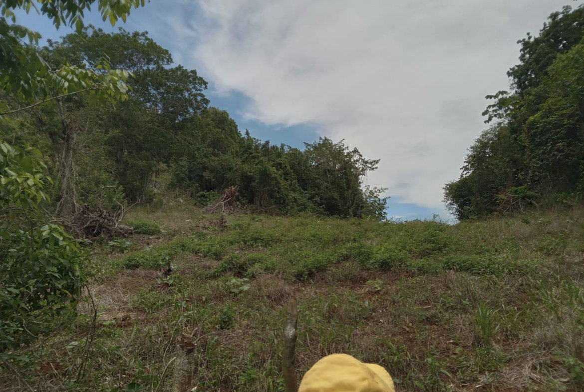 Twelfth image of Welcome, Alexandria St. a in Alexandria, St. Ann, Jamaica - property is For Sale