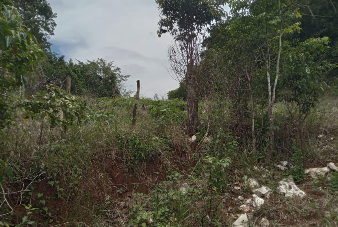 Sixth image of Welcome, Alexandria St. a in Alexandria, St. Ann, Jamaica - property is For Sale