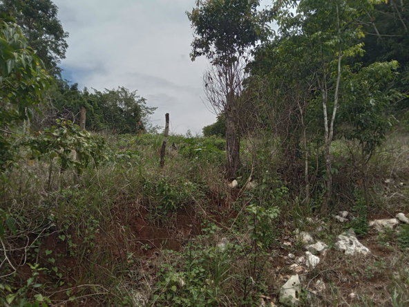 Sixth image of Welcome, Alexandria St. a in Alexandria, St. Ann, Jamaica - property is For Sale