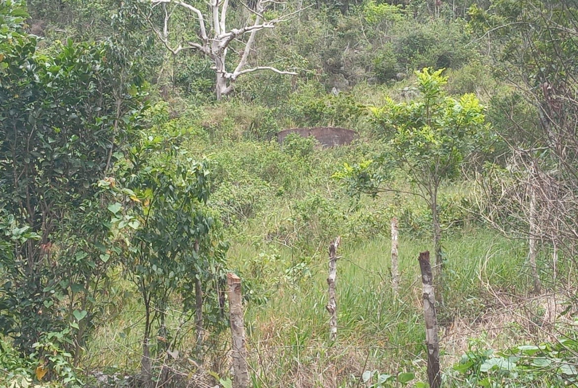 Seventh image of Welcome, Alexandria St. a in Alexandria, St. Ann, Jamaica - property is For Sale