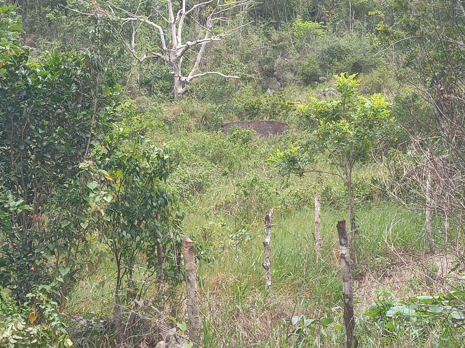 Residential-Lot-for-Sale-in-Welcome-Alexandria-St.-Ann-Jamaica-–-0.66-Acres-with-Well Seventh image of Welcome, Alexandria St. a in Alexandria, St. Ann, Jamaica - property is For Sale