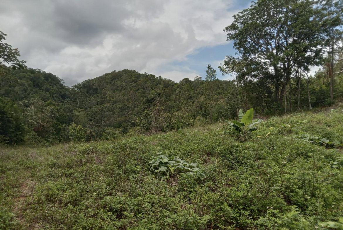 Eighth image of Welcome, Alexandria St. a in Alexandria, St. Ann, Jamaica - property is For Sale
