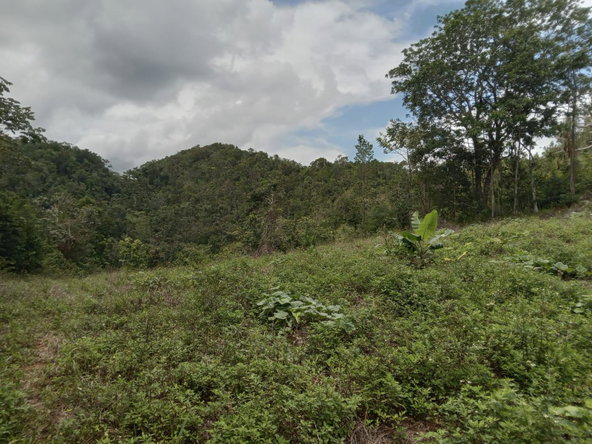 Eighth image of Welcome, Alexandria St. a in Alexandria, St. Ann, Jamaica - property is For Sale