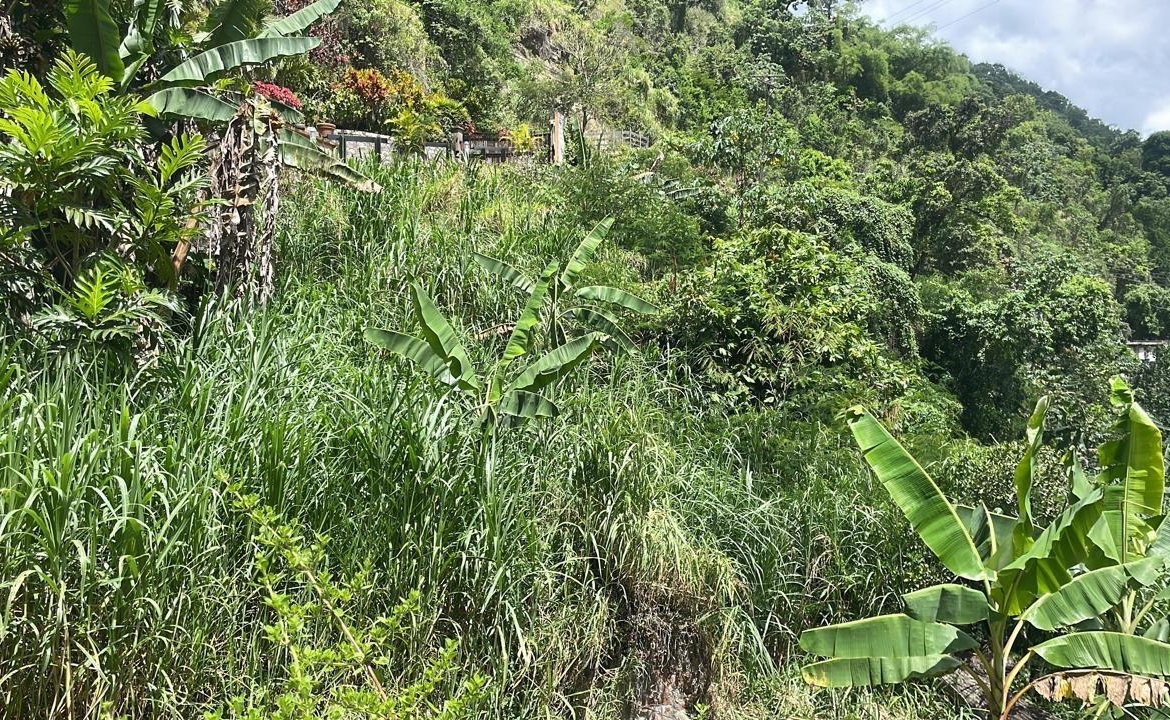 Third image of Lot 2-pt of Dublin Castle in Gordon Town P.O., St. Andrew, Jamaica - property is For Sale
