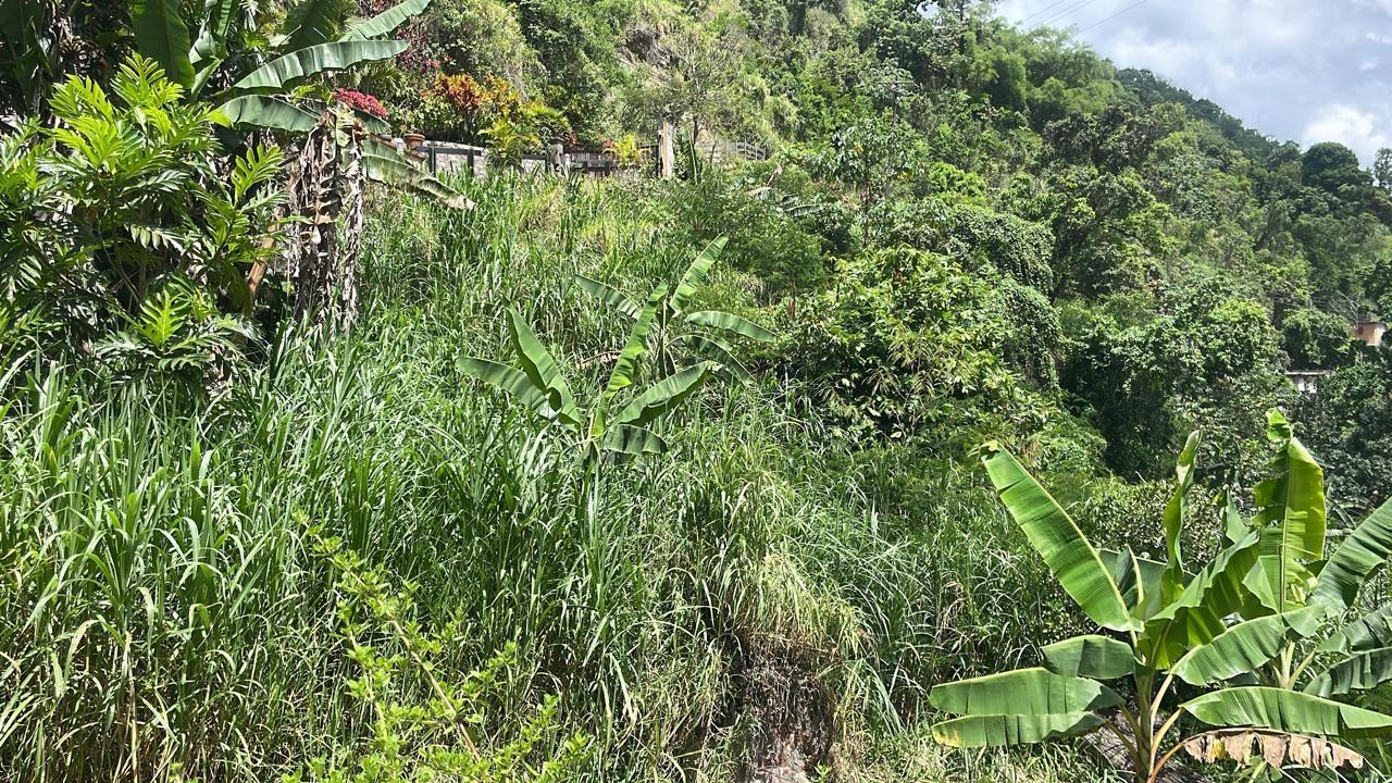 Third image of Lot 2-pt of Dublin Castle in Gordon Town P.O., St. Andrew, Jamaica - property is For Sale