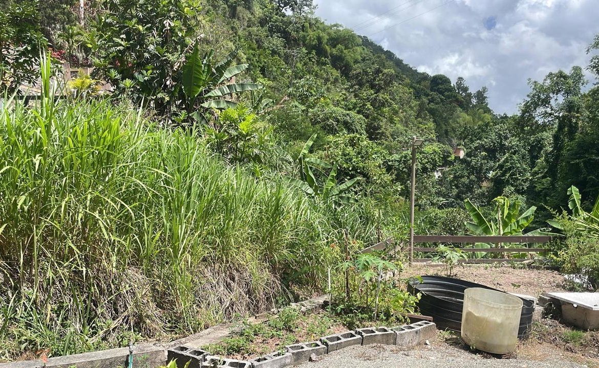 Fourth image of Lot 2-pt of Dublin Castle in Gordon Town P.O., St. Andrew, Jamaica - property is For Sale