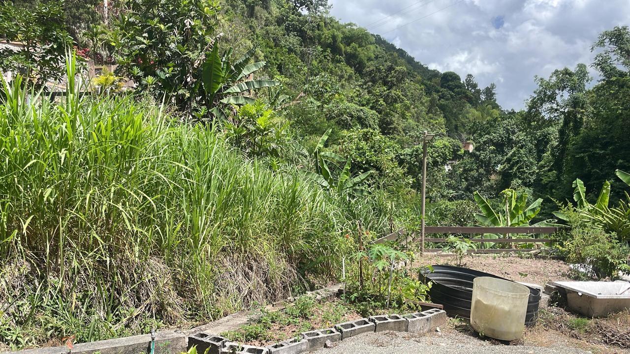 Fourth image of Lot 2-pt of Dublin Castle in Gordon Town P.O., St. Andrew, Jamaica - property is For Sale