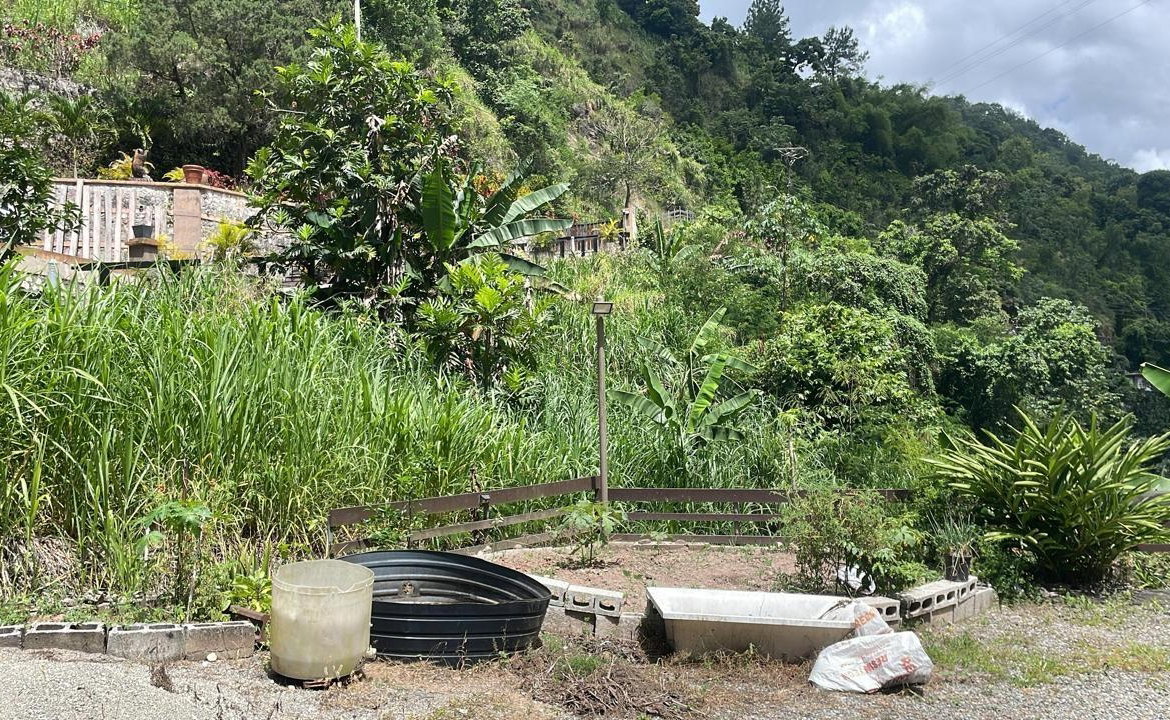 Fifth image of Lot 2-pt of Dublin Castle in Gordon Town P.O., St. Andrew, Jamaica - property is For Sale