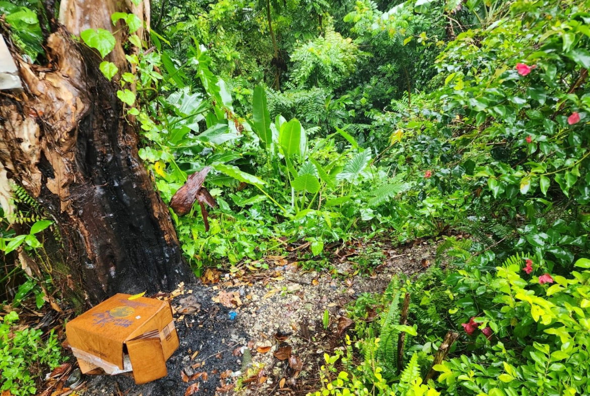 Second image of Lot 34 Red Hassel Portland in Port Antonio, Portland, Jamaica - property is For Sale