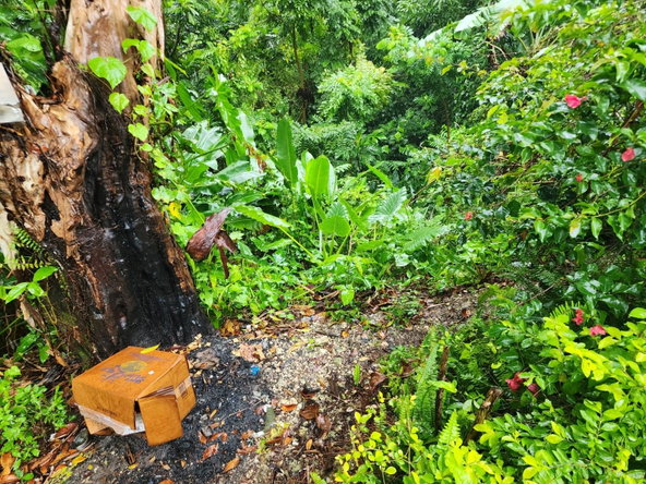 Second image of Lot 34 Red Hassel Portland in Port Antonio, Portland, Jamaica - property is For Sale