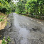 First image of Lot 34 Red Hassel Portland in Port Antonio, Portland, Jamaica - property is For Sale