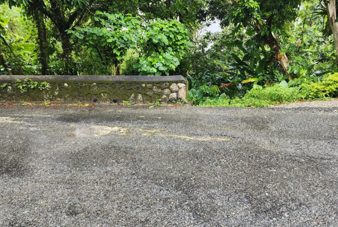 Third image of Lot 34 Red Hassel Portland in Port Antonio, Portland, Jamaica - property is For Sale