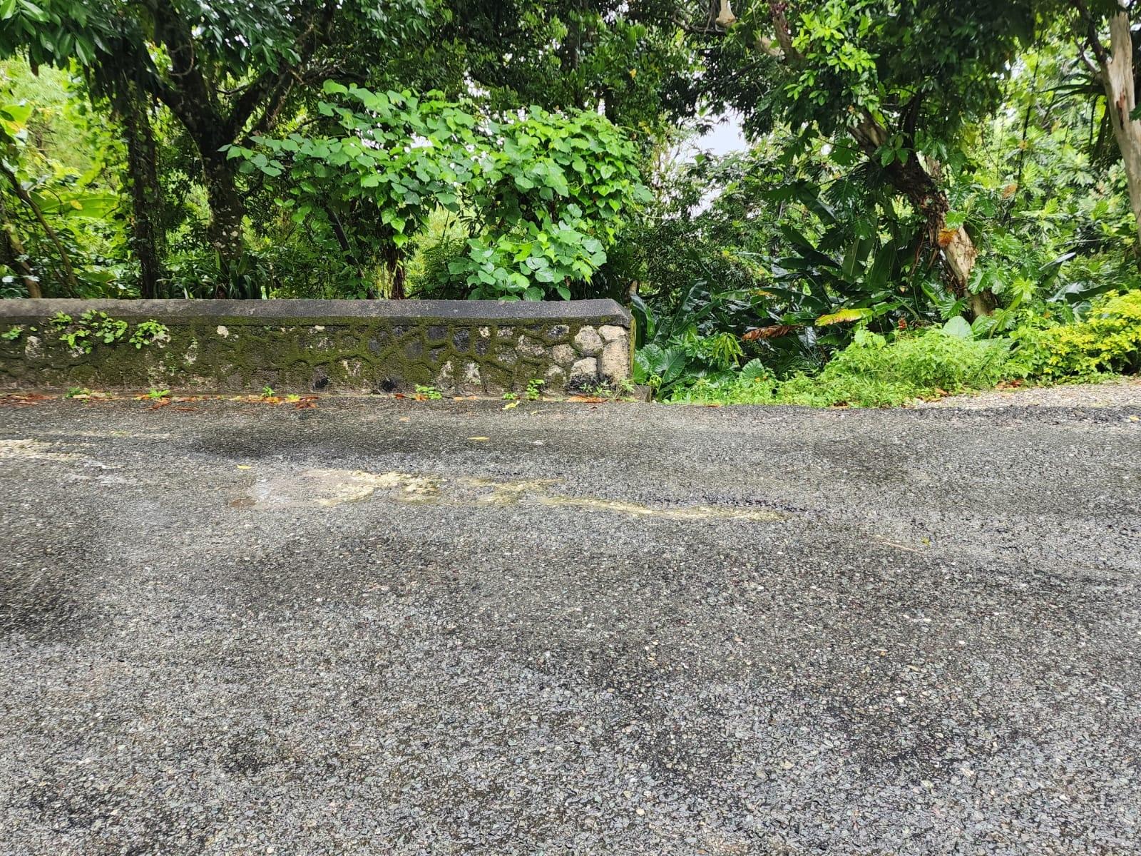 Third image of Lot 34 Red Hassel Portland in Port Antonio, Portland, Jamaica - property is For Sale