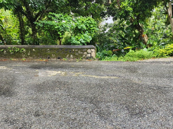 Third image of Lot 34 Red Hassel Portland in Port Antonio, Portland, Jamaica - property is For Sale