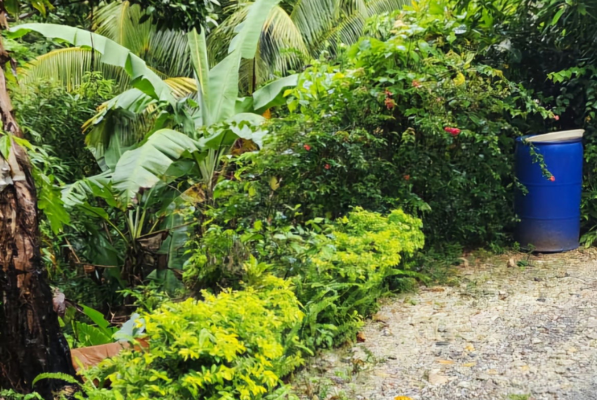 Fourth image of Lot 34 Red Hassel Portland in Port Antonio, Portland, Jamaica - property is For Sale