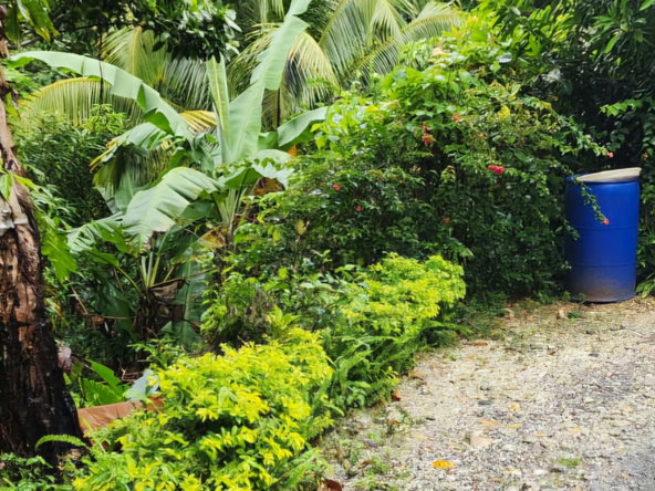 Fourth image of Lot 34 Red Hassel Portland in Port Antonio, Portland, Jamaica - property is For Sale