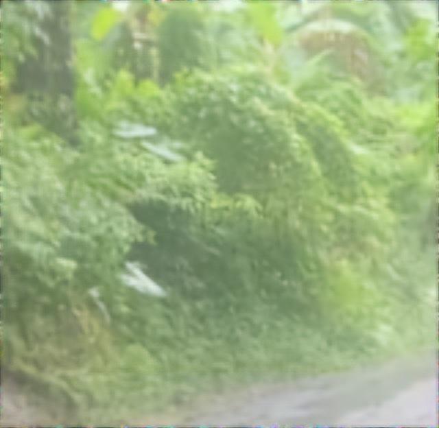 Fifth image of Lot 34 Red Hassel Portland in Port Antonio, Portland, Jamaica - property is For Sale