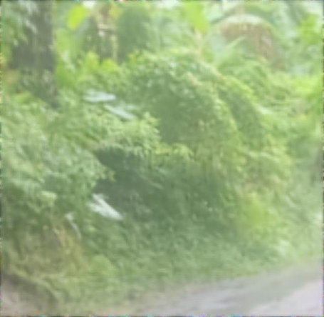Fifth image of Lot 34 Red Hassel Portland in Port Antonio, Portland, Jamaica - property is For Sale