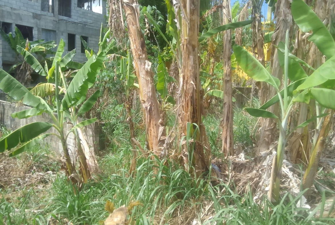 Second image of 1817 Cornwall Courts in Cornwall, St. James, Jamaica - property is For Sale