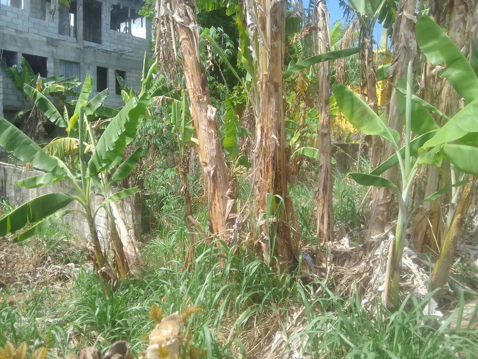 Residential-Lot-with-Unfinished-3-Bedroom-Home-for-Sale-in-St.-James-Jamaica Second image of 1817 Cornwall Courts in Cornwall, St. James, Jamaica - property is For Sale