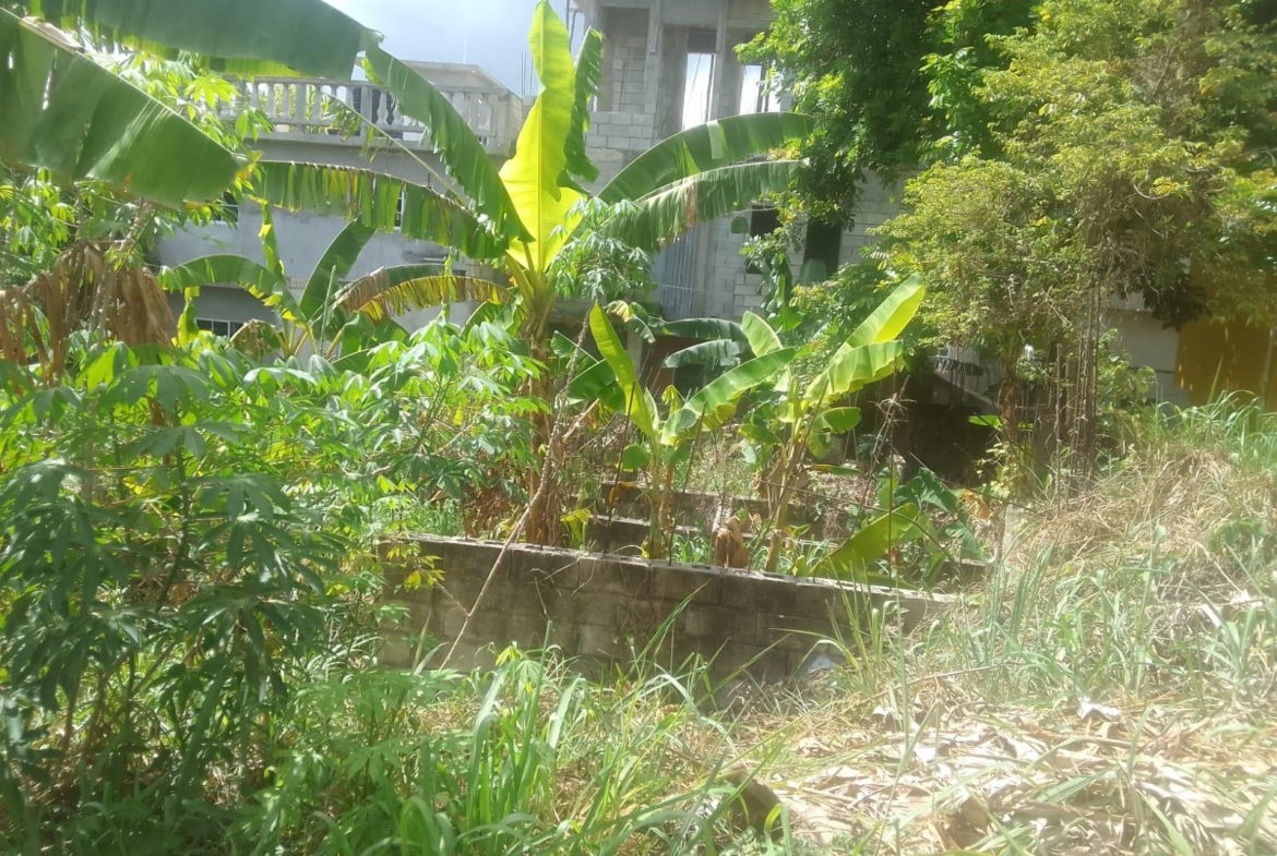 First image of 1817 Cornwall Courts in Cornwall, St. James, Jamaica - property is For Sale